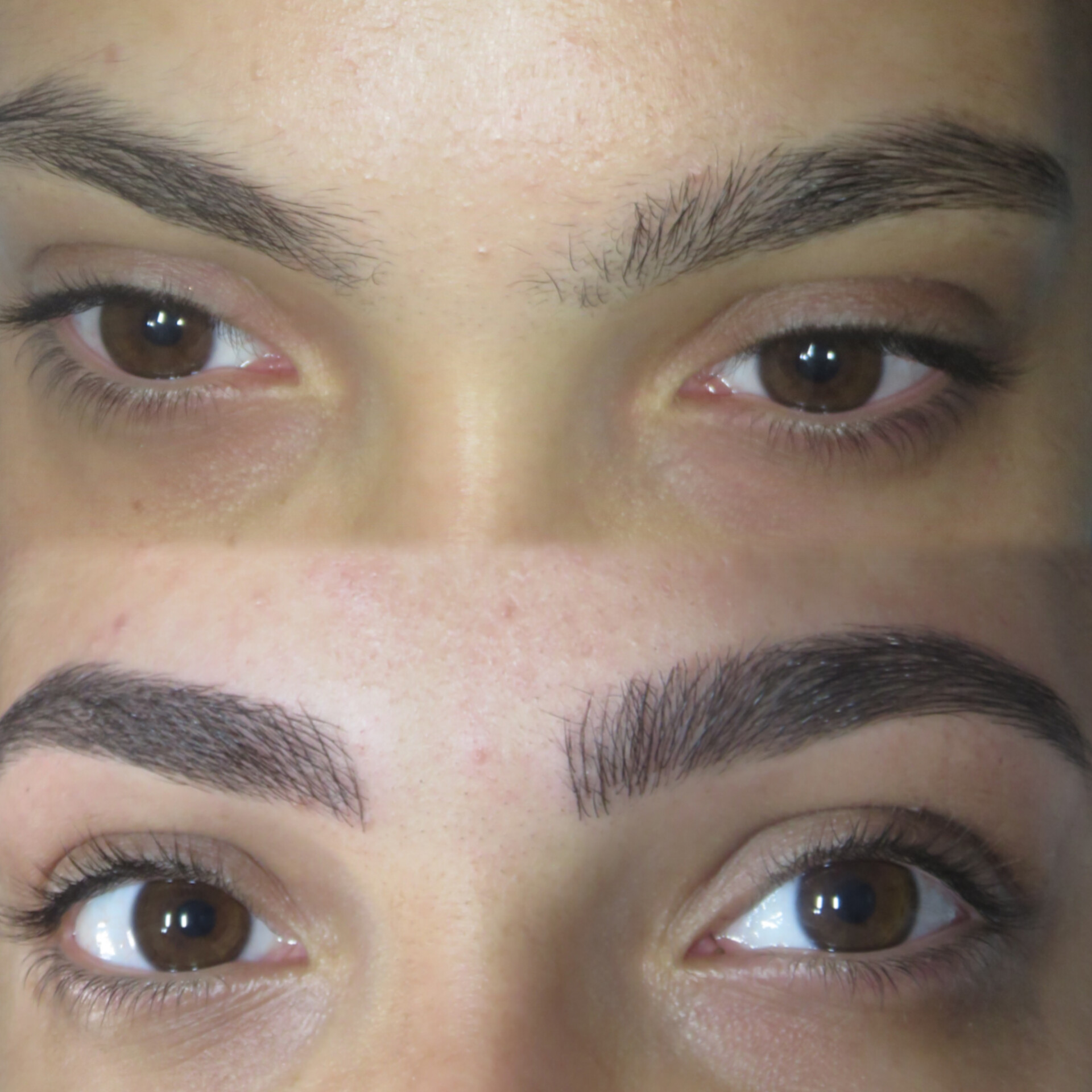 מיקרובליידינג - עבודה 1