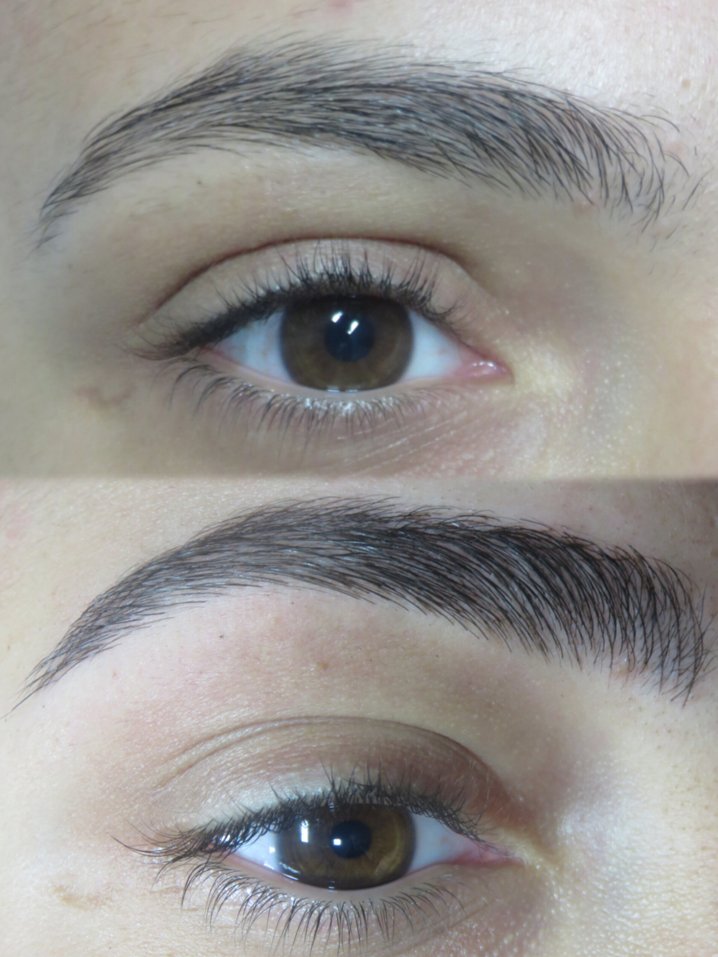 מיקרובליידינג - עבודה 2