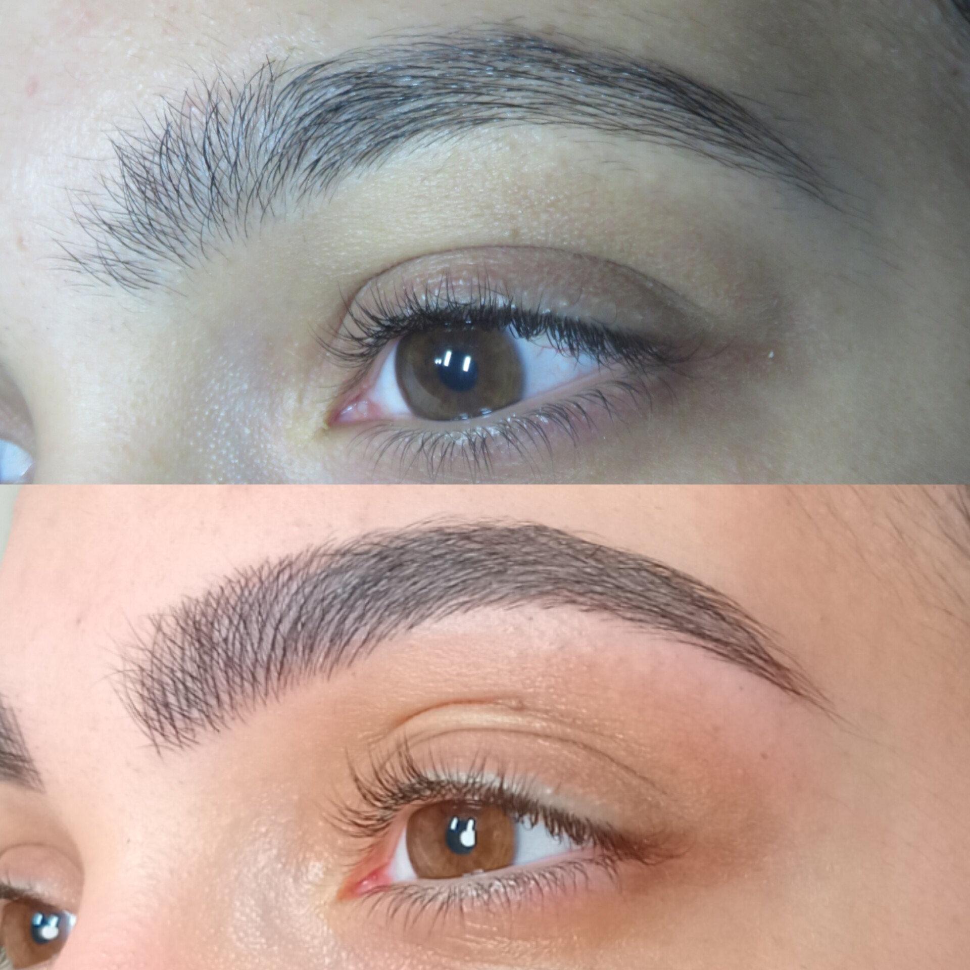 מיקרובליידינג - עבודה 4